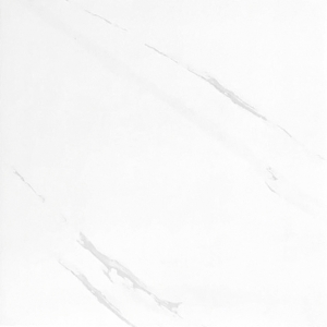 BSK66001 (2)
